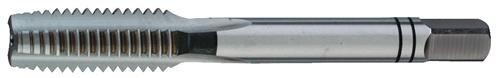 Var1773533 #1