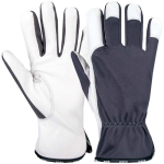 Handschuhe, Rückengummizug Nappaleder, natur/grau RIO Comfort
