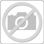 Werkbank BxTxH Buche massiv Tecwerk